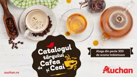 Catalog Auchan