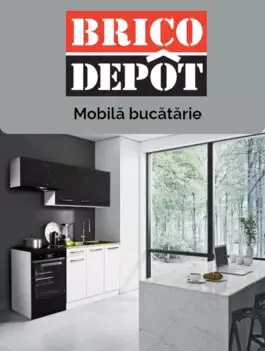 Catalog Brico Depot