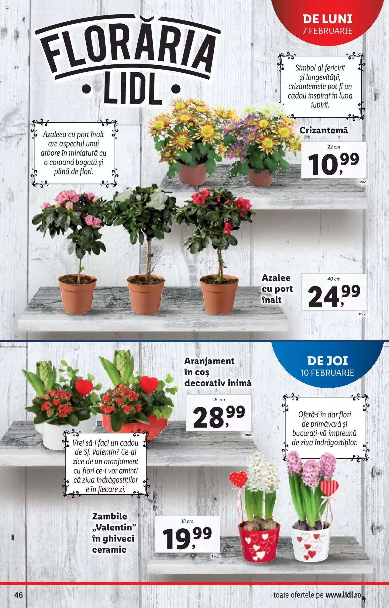 Catalog LIDL 7 - 13 Februarie 2022 | Pagina 46