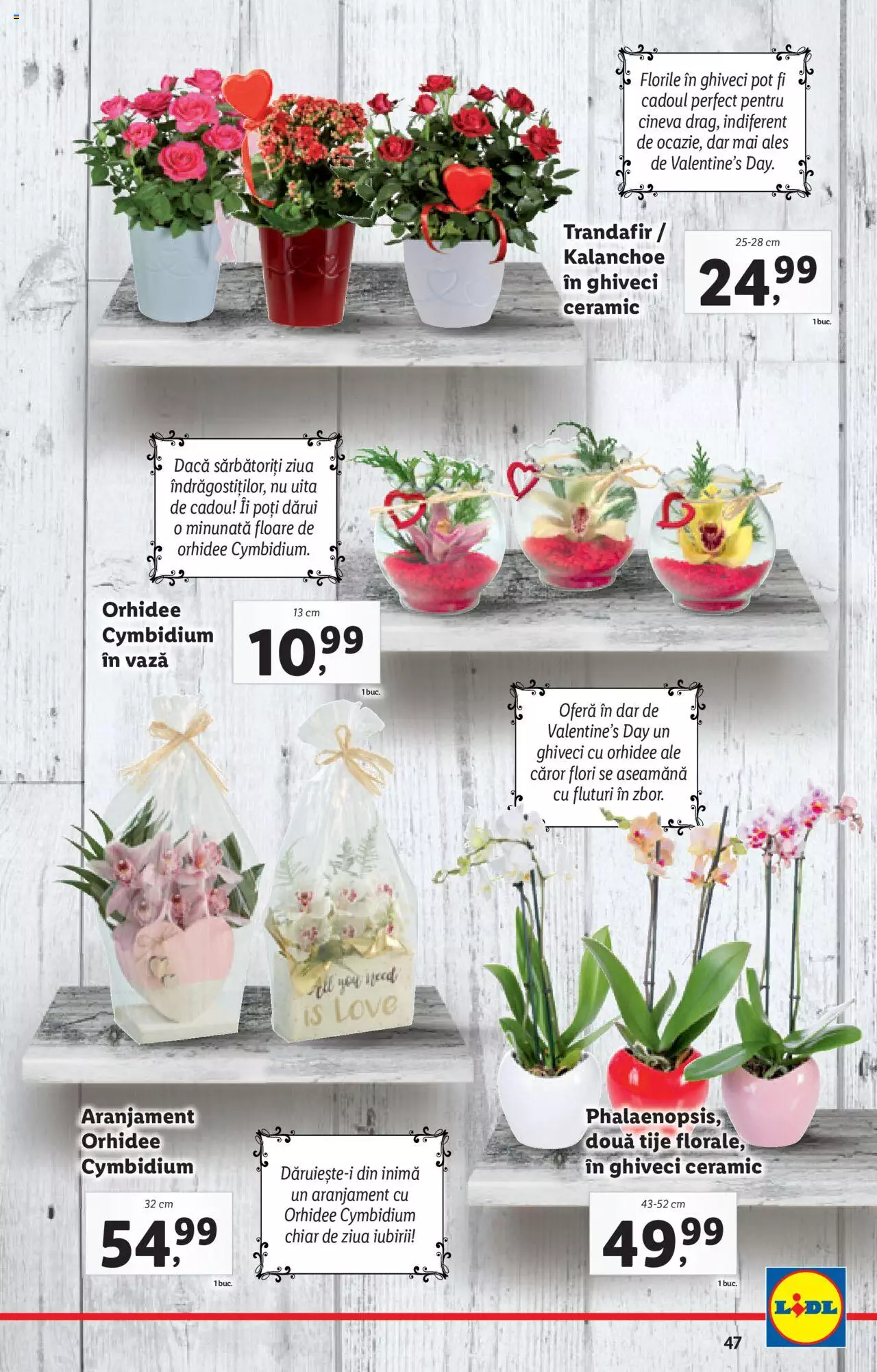 Catalog LIDL 7 - 13 Februarie 2022 | Pagina 47