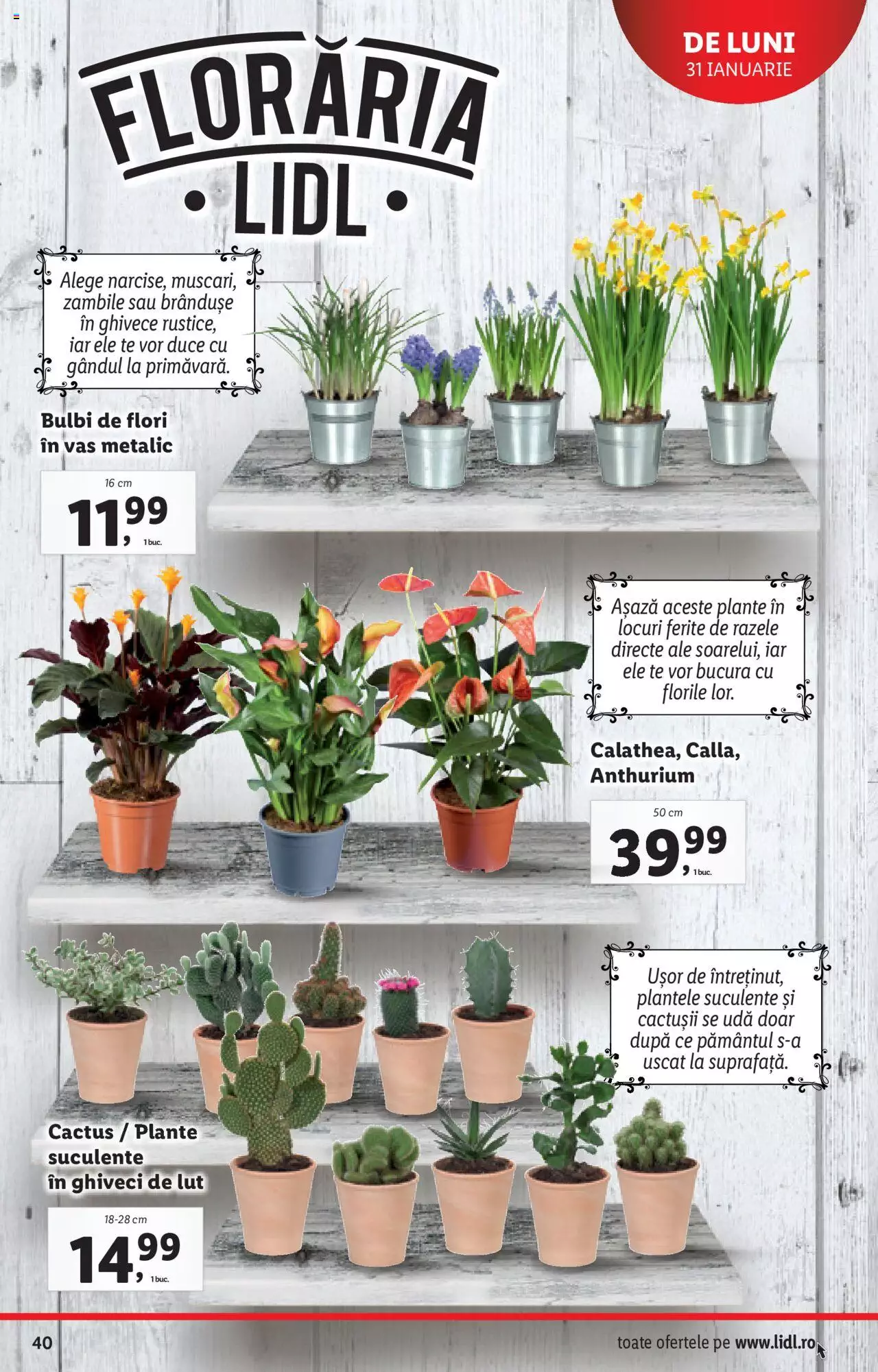 Catalog LIDL 31 Ianuarie - 6 Februarie 2022 | Pagina 40