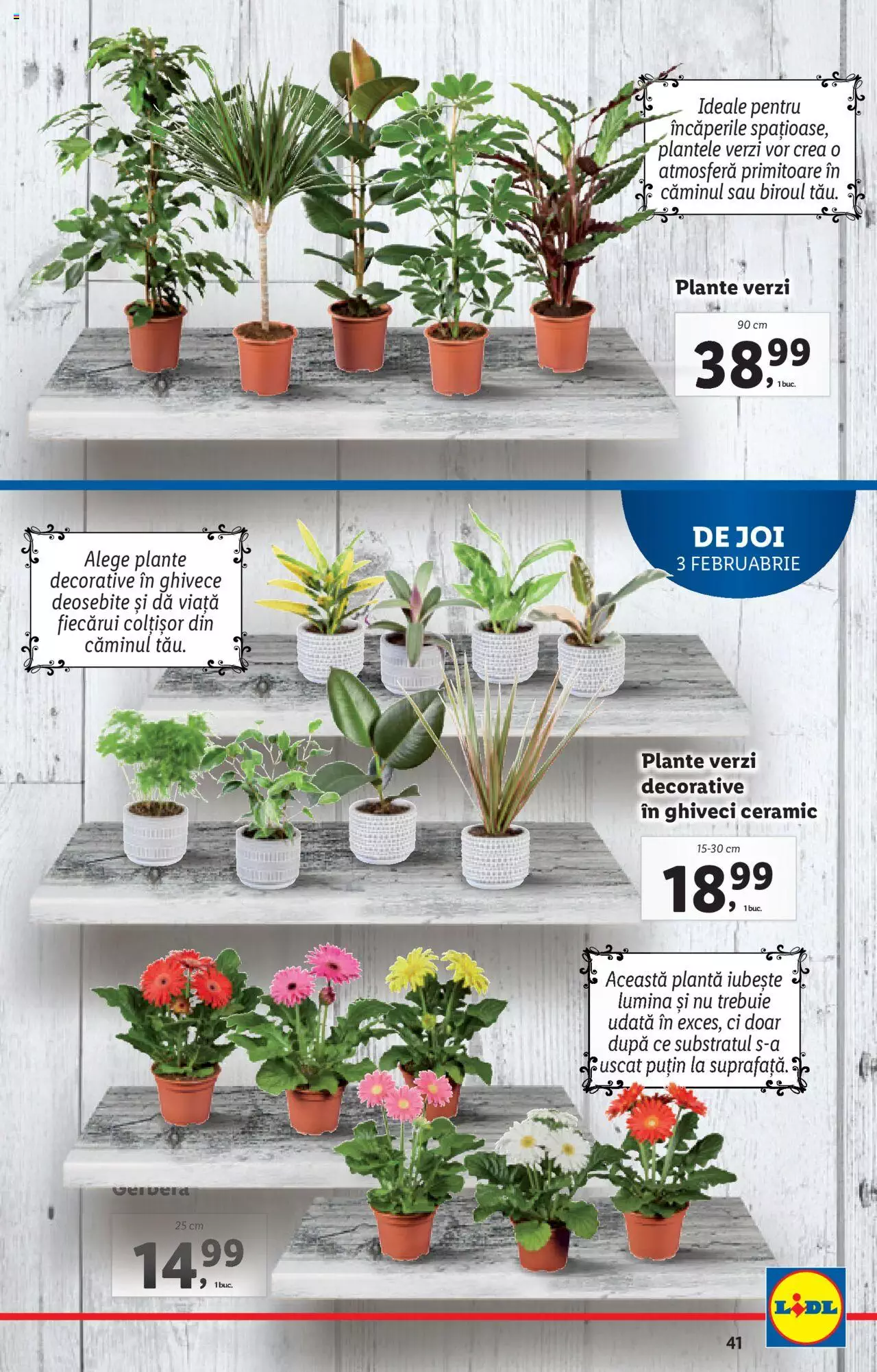 Catalog LIDL 31 Ianuarie - 6 Februarie 2022 | Pagina 41