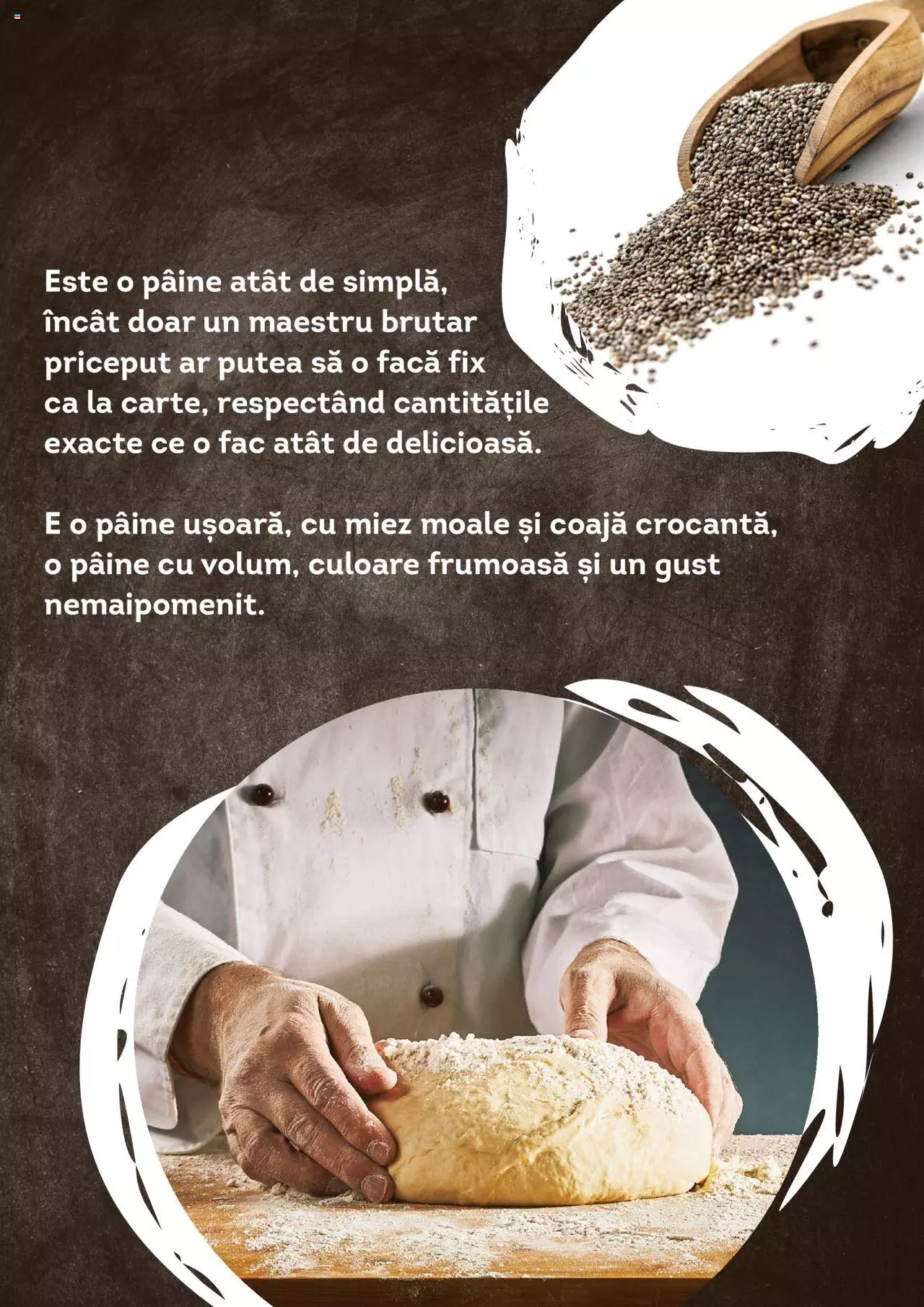 Catalog Cora 1 Ianuarie - 31 Decembrie 2022 | Pagina 13