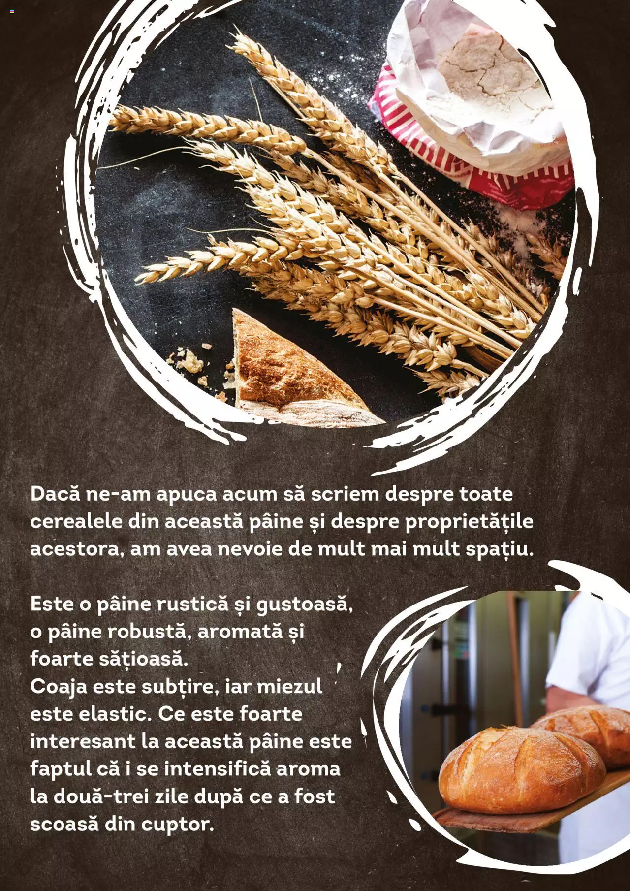 Catalog Cora 1 Ianuarie - 31 Decembrie 2022 | Pagina 27