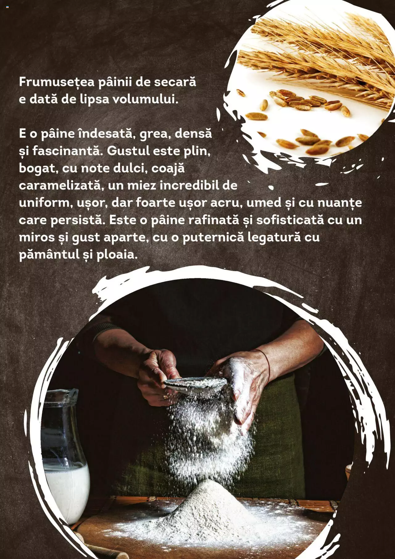 Catalog Cora 1 Ianuarie - 31 Decembrie 2022 | Pagina 7