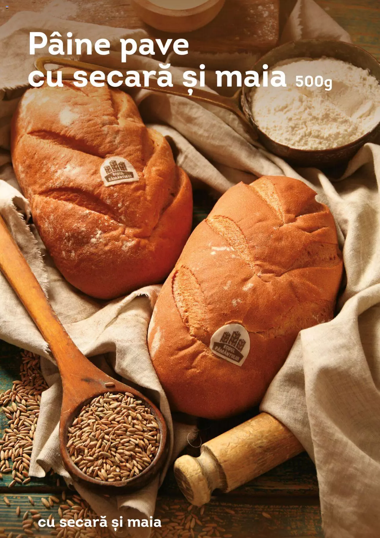 Catalog Cora 1 Ianuarie - 31 Decembrie 2022 | Pagina 8