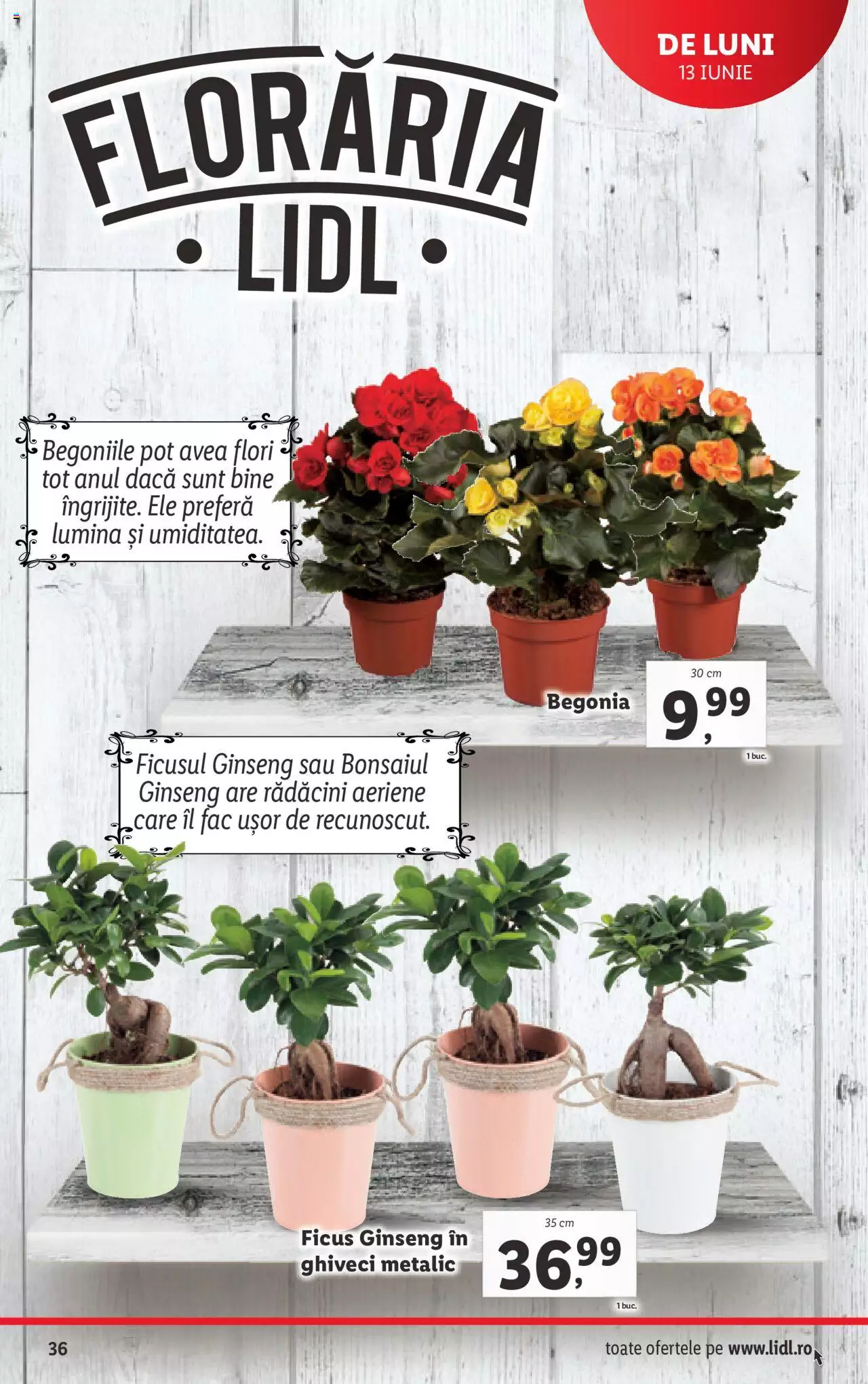 Catalog LIDL 13 - 19 Iunie 2022 | Pagina 36