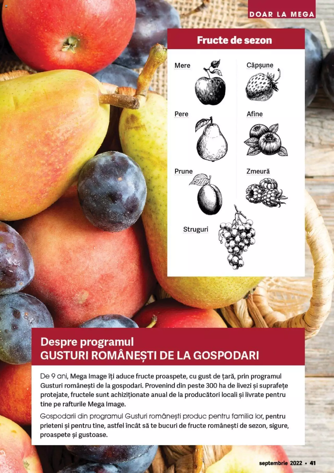 Catalog Mega Image 25 August - 28 Septembrie 2022 | Pagina 41