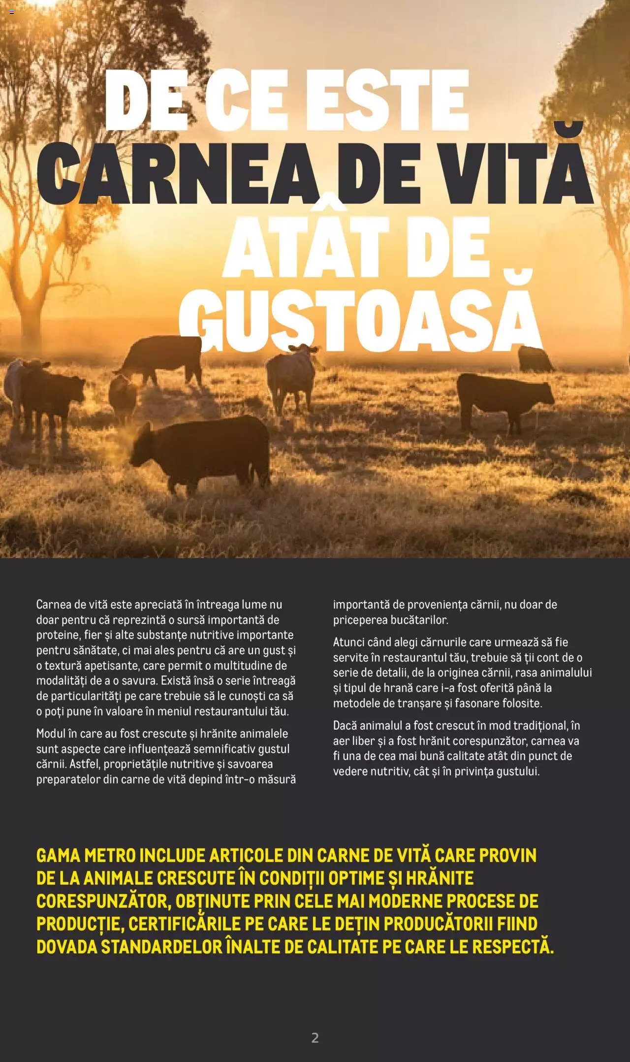 Catalog METRO 20 Iunie - 31 Decembrie 2022 | Pagina 2