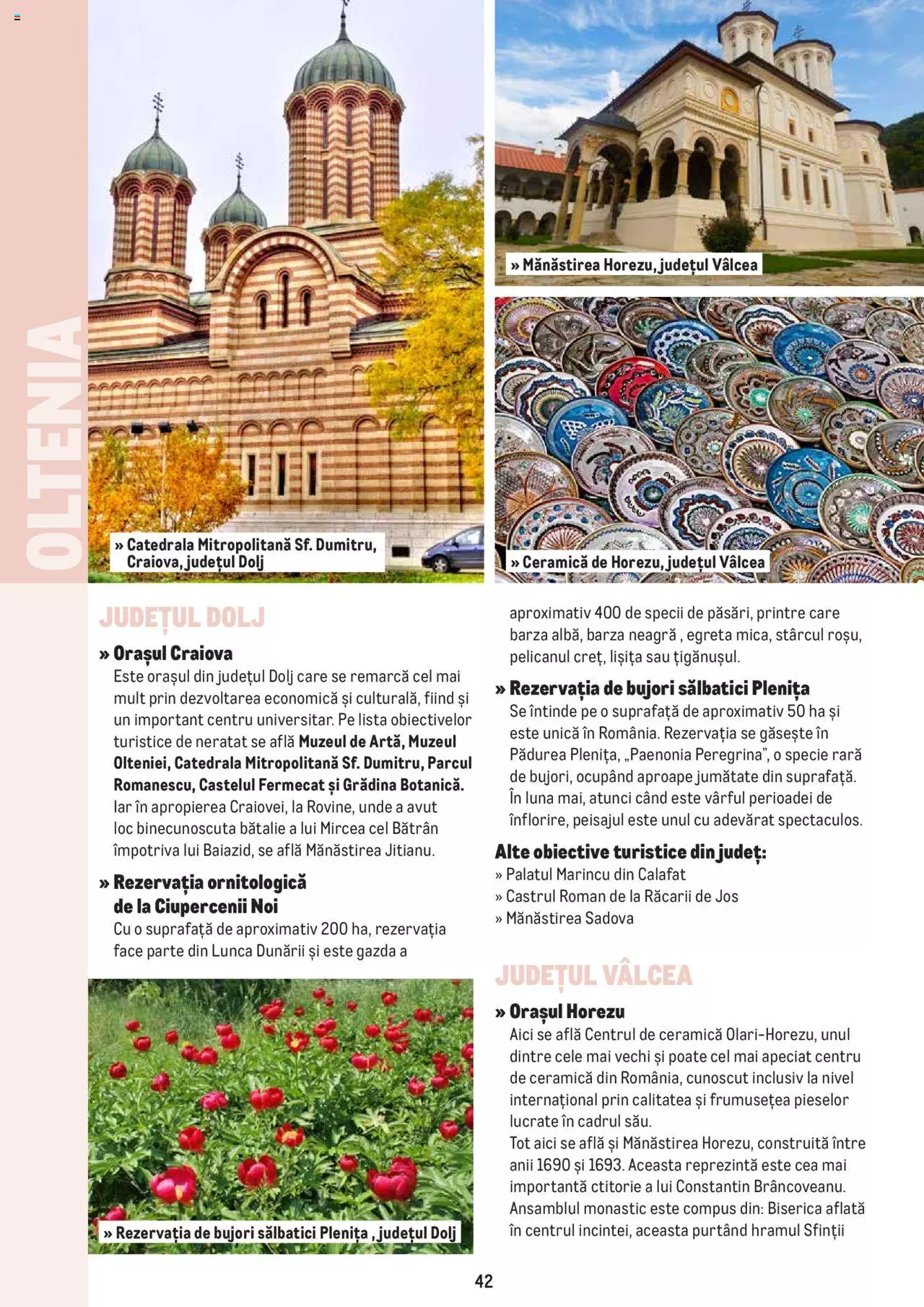 Catalog METRO 4 Iulie - 31 Decembrie 2022 | Pagina 42