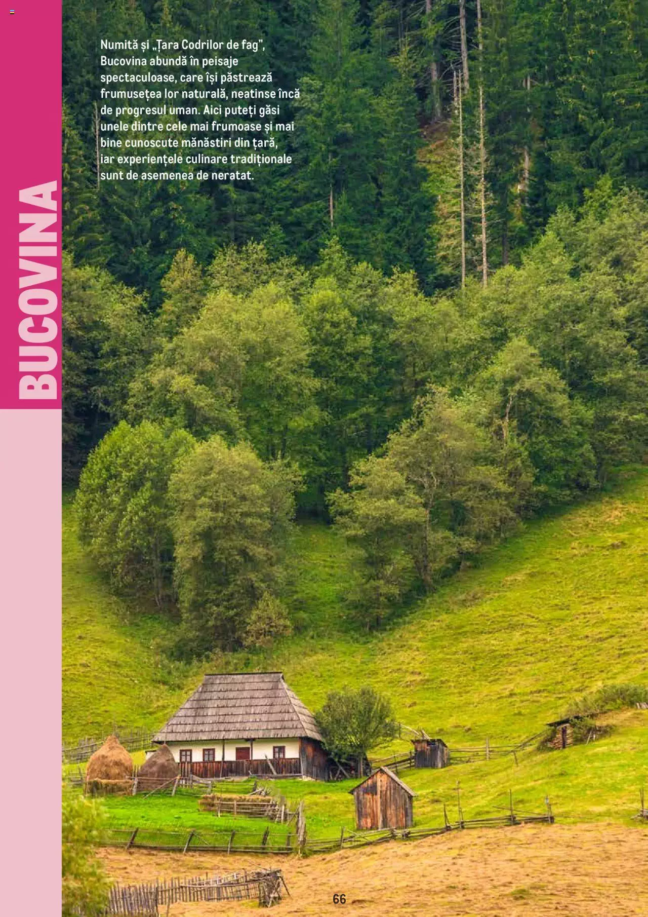 Catalog METRO 4 Iulie - 31 Decembrie 2022 | Pagina 66