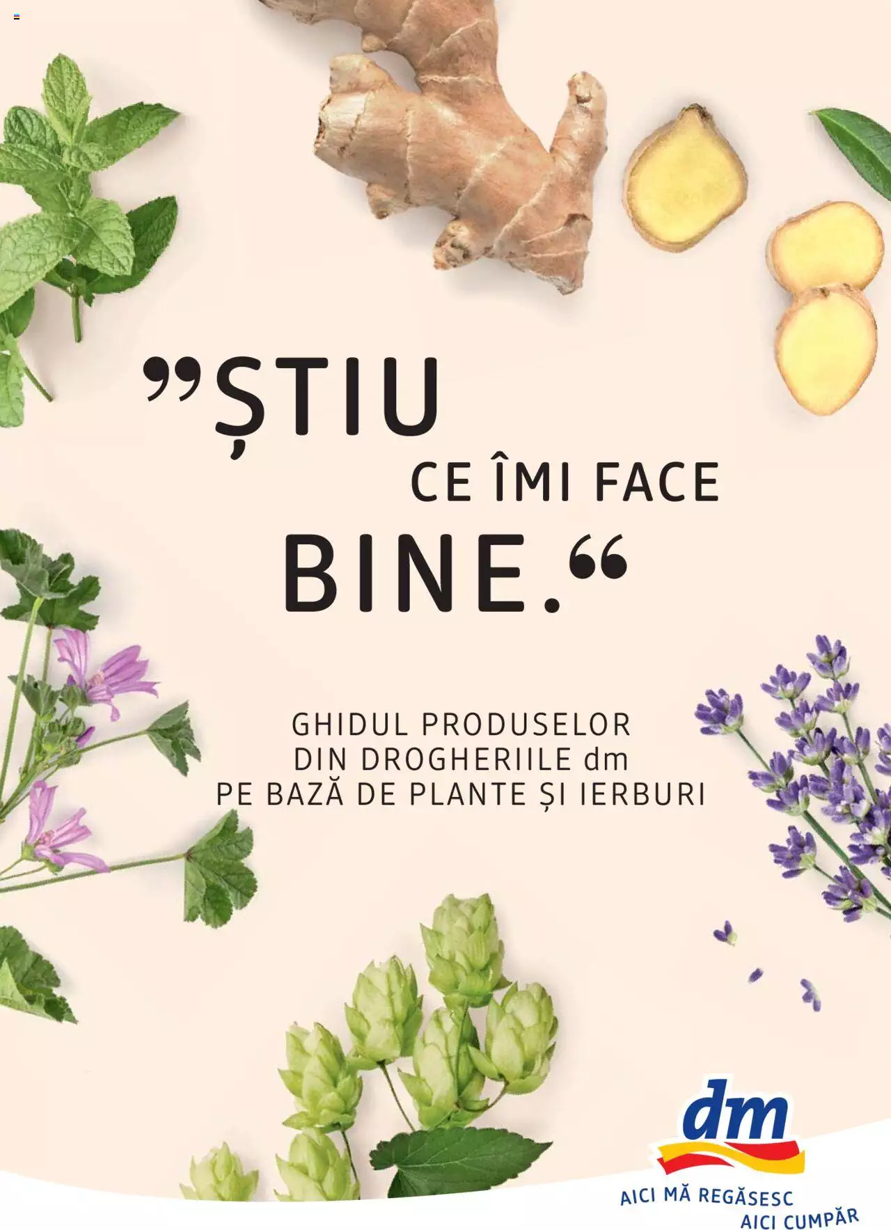 Catalog DM Drogerie Markt de Sâmbătă 1 2022 | Pagina 1