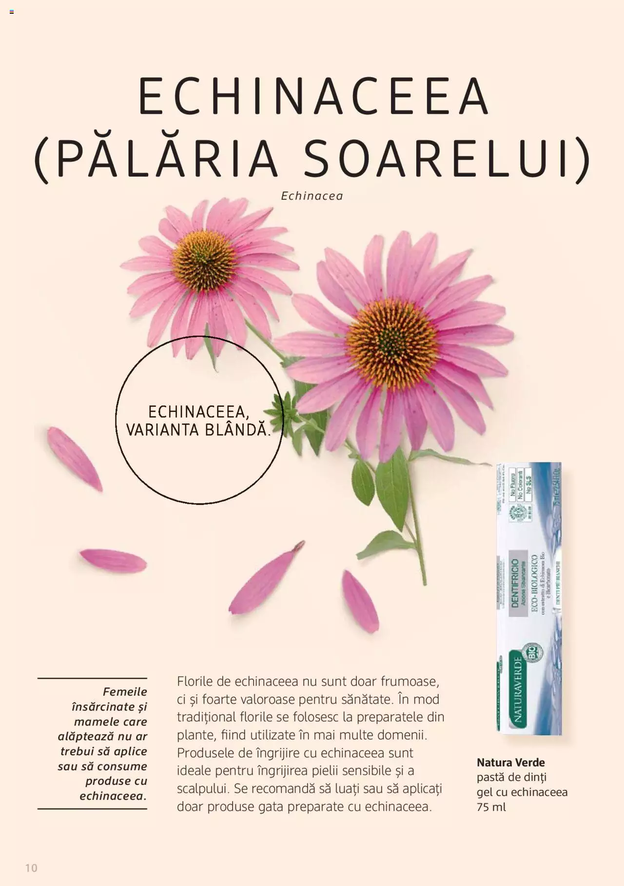 Catalog DM Drogerie Markt de Sâmbătă 1 2022 | Pagina 10