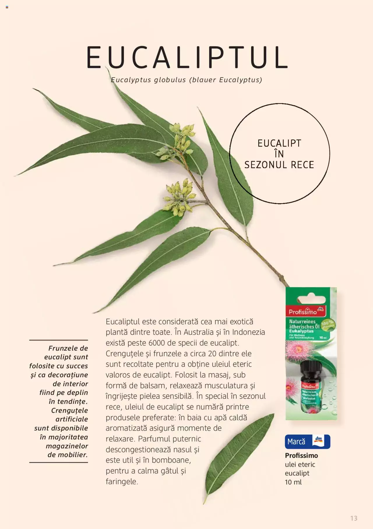 Catalog DM Drogerie Markt de Sâmbătă 1 2022 | Pagina 13
