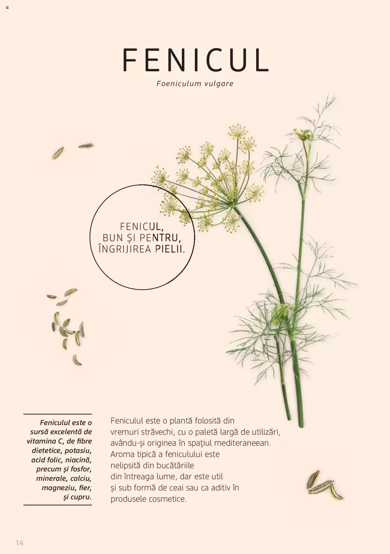 Catalog DM Drogerie Markt de Sâmbătă 1 2022 | Pagina 14