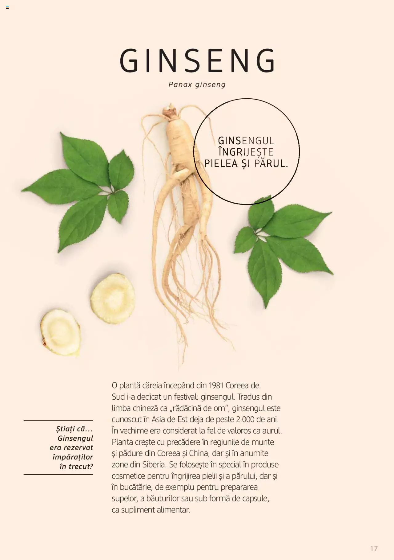 Catalog DM Drogerie Markt de Sâmbătă 1 2022 | Pagina 17
