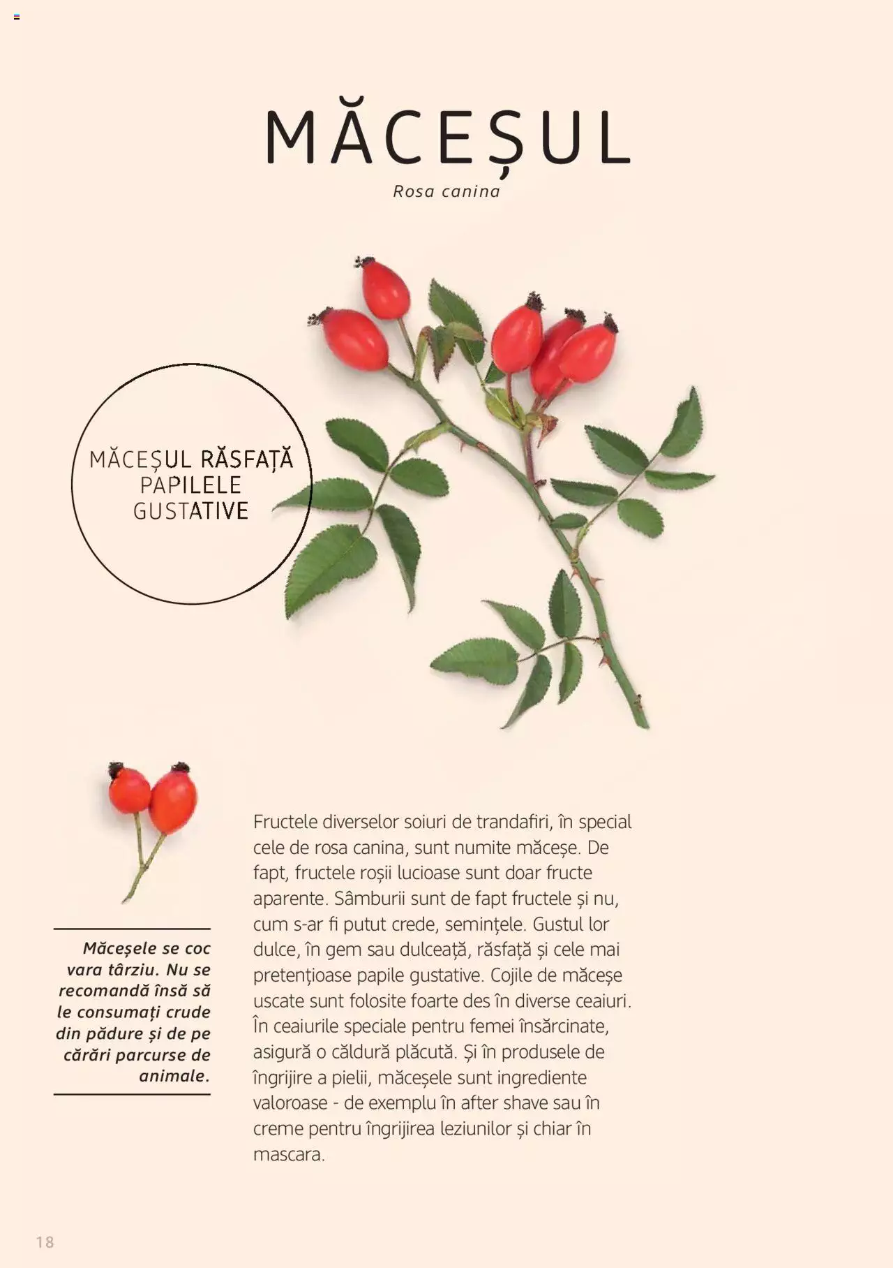 Catalog DM Drogerie Markt de Sâmbătă 1 2022 | Pagina 18