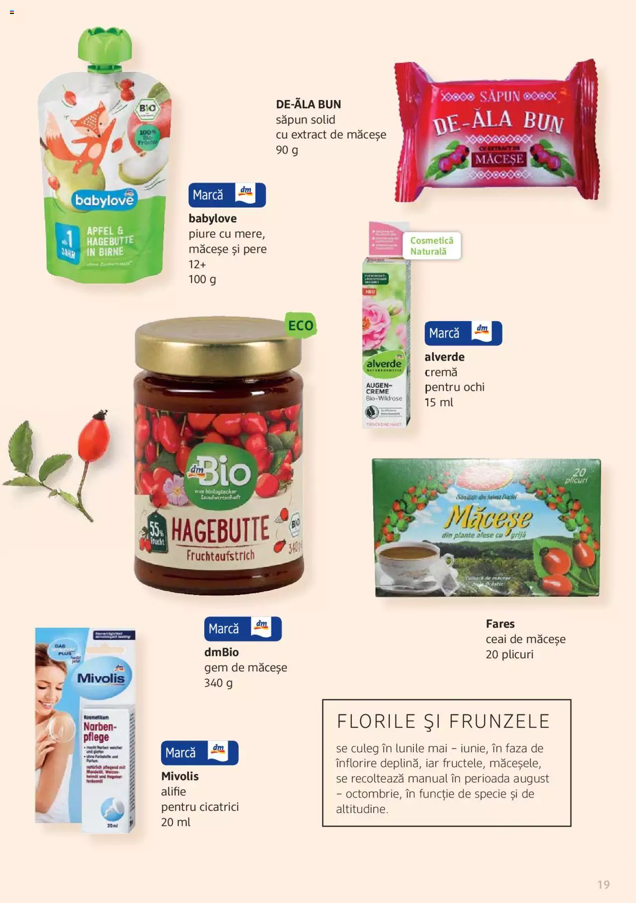 Catalog DM Drogerie Markt de Sâmbătă 1 2022 | Pagina 19