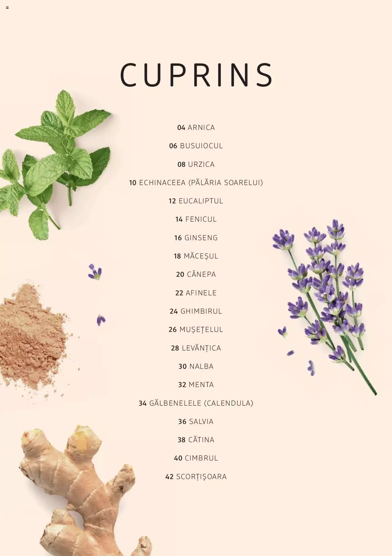 Catalog DM Drogerie Markt de Sâmbătă 1 2022 | Pagina 2