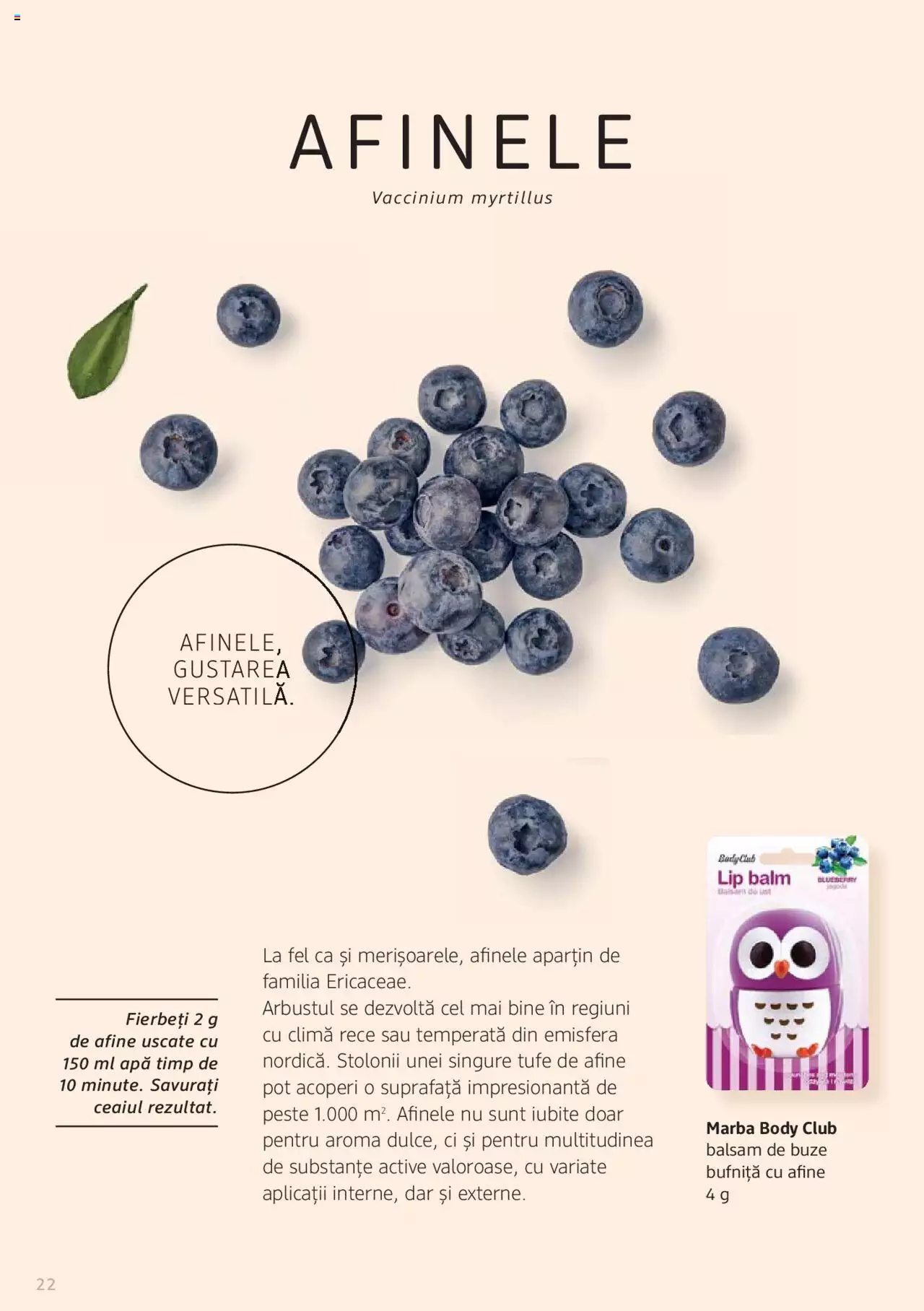 Catalog DM Drogerie Markt de Sâmbătă 1 2022 | Pagina 22