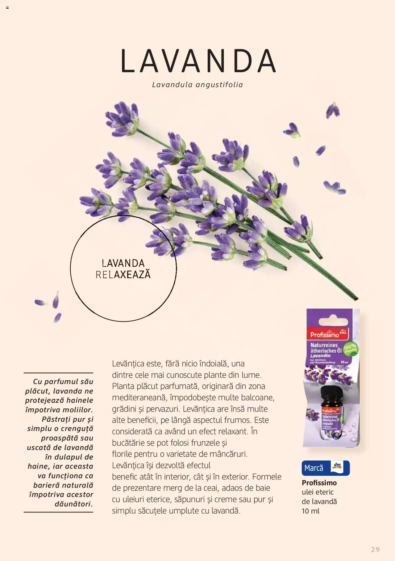 Catalog DM Drogerie Markt de Sâmbătă 1 2022 | Pagina 29