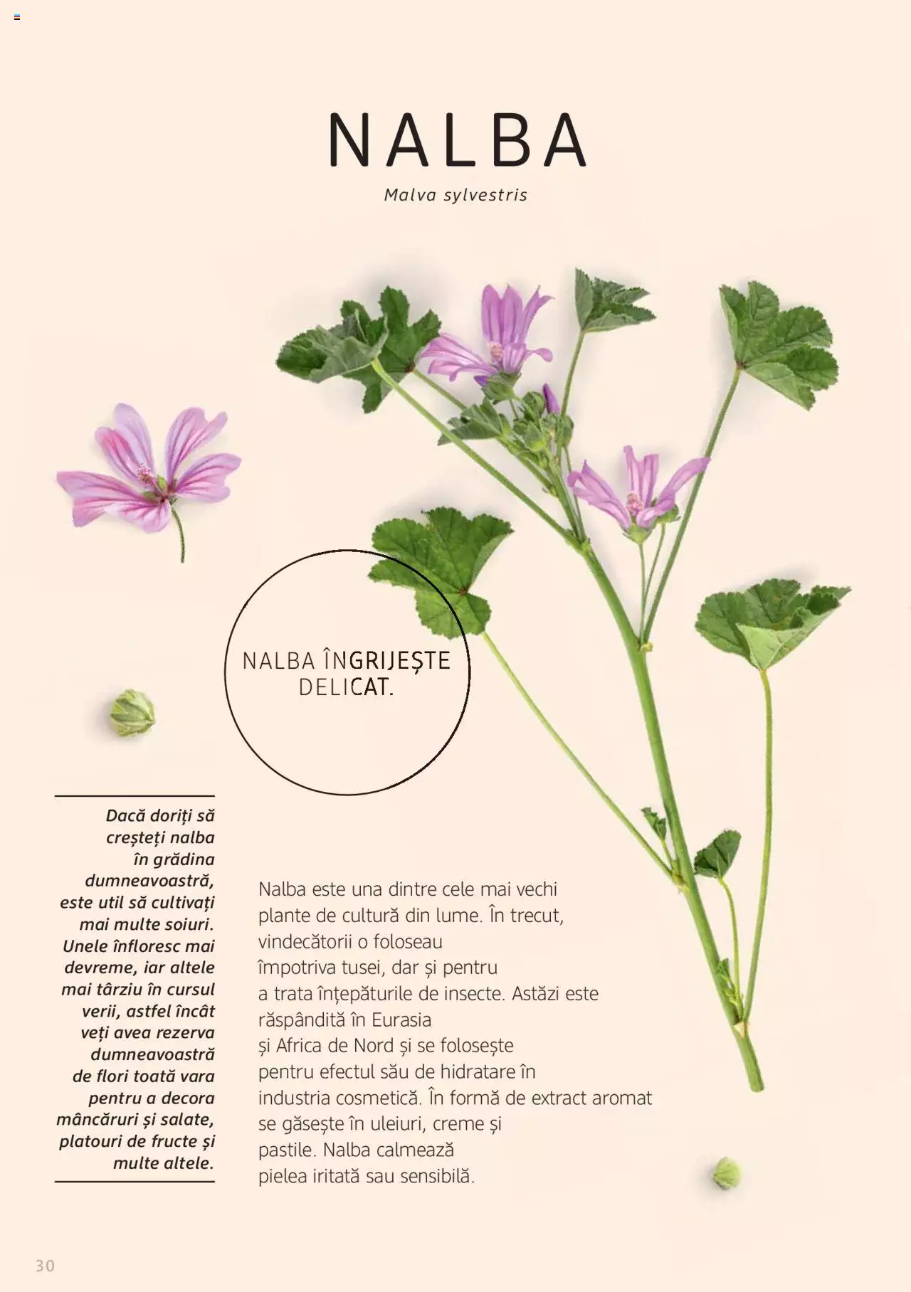 Catalog DM Drogerie Markt de Sâmbătă 1 2022 | Pagina 30