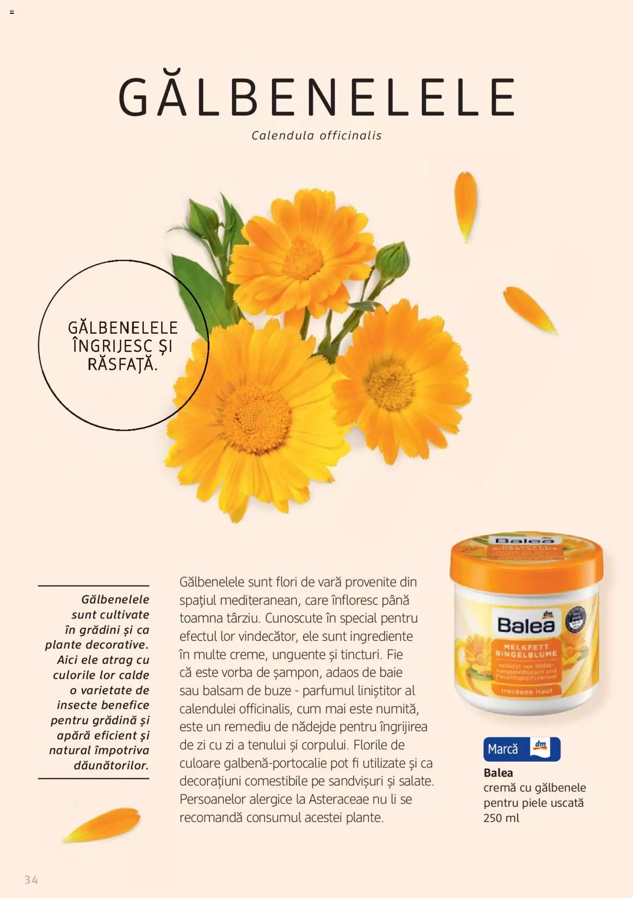 Catalog DM Drogerie Markt de Sâmbătă 1 2022 | Pagina 34
