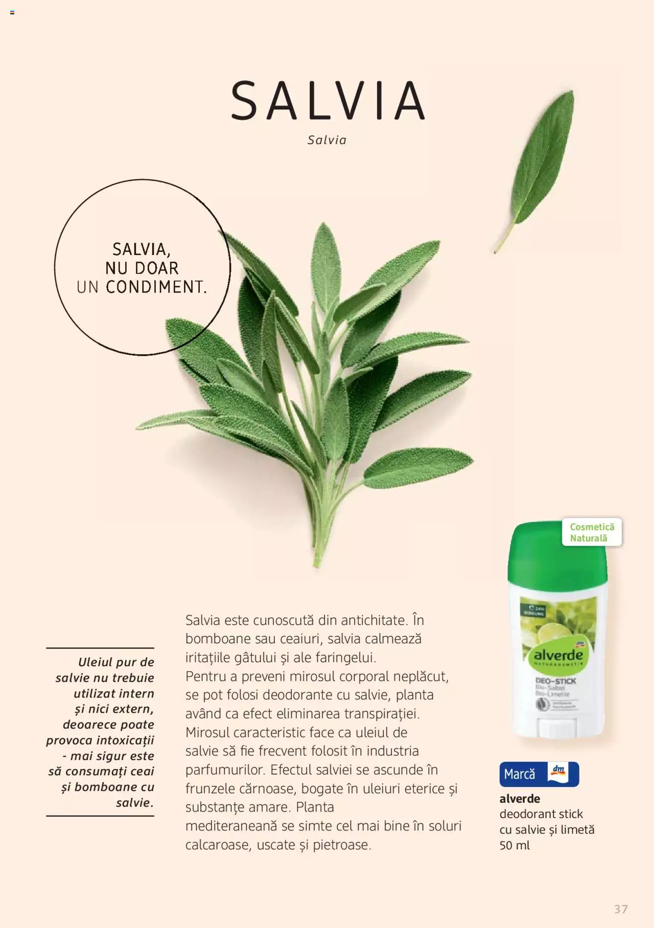 Catalog DM Drogerie Markt de Sâmbătă 1 2022 | Pagina 37