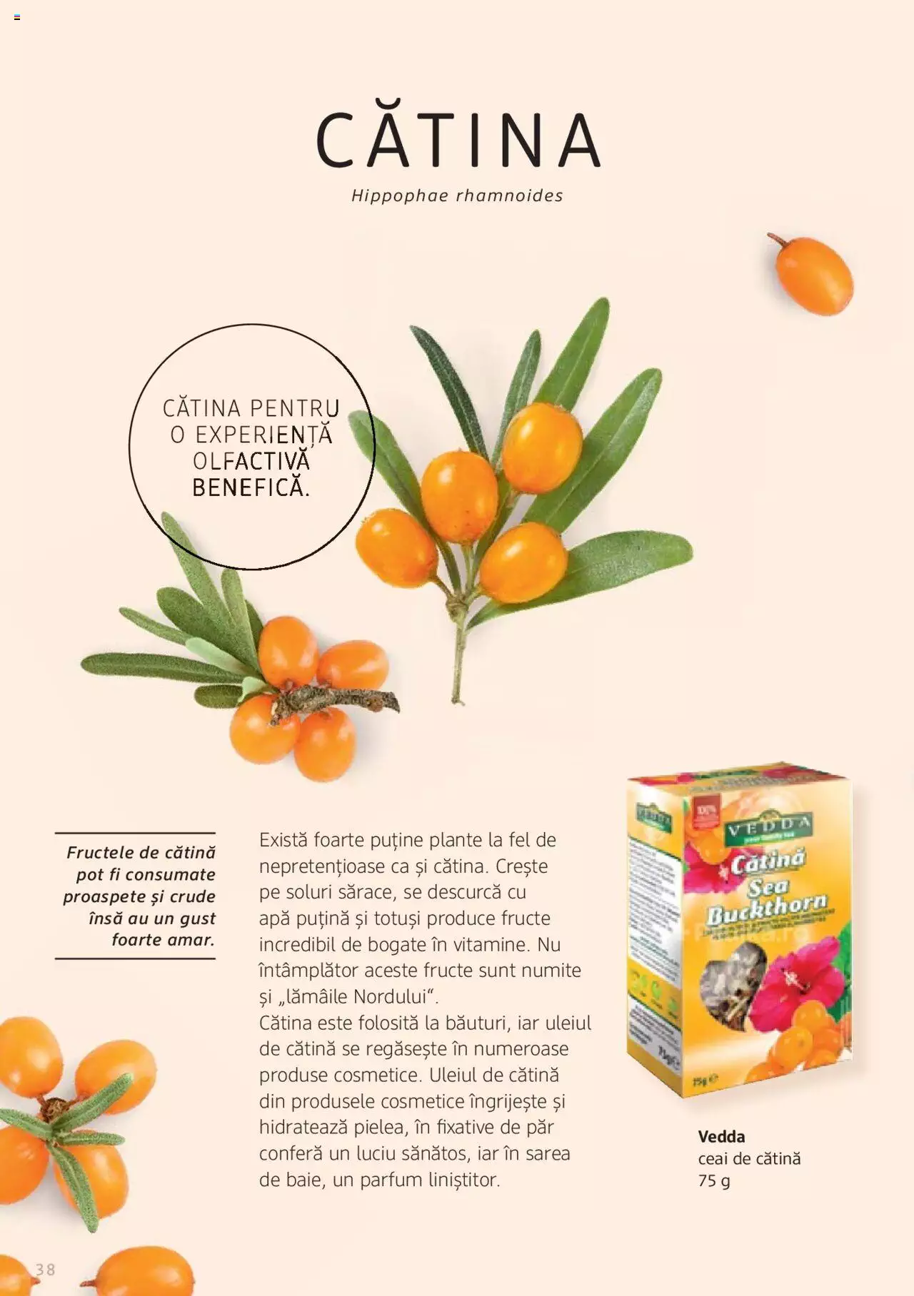 Catalog DM Drogerie Markt de Sâmbătă 1 2022 | Pagina 38