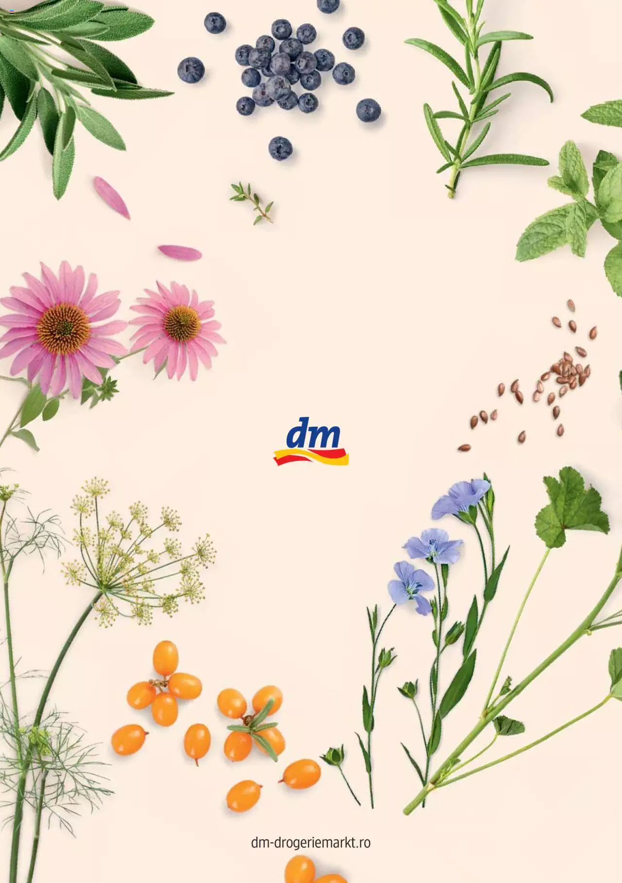 Catalog DM Drogerie Markt de Sâmbătă 1 2022 | Pagina 44