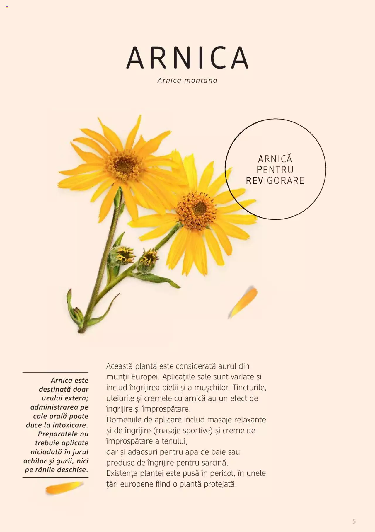Catalog DM Drogerie Markt de Sâmbătă 1 2022 | Pagina 5