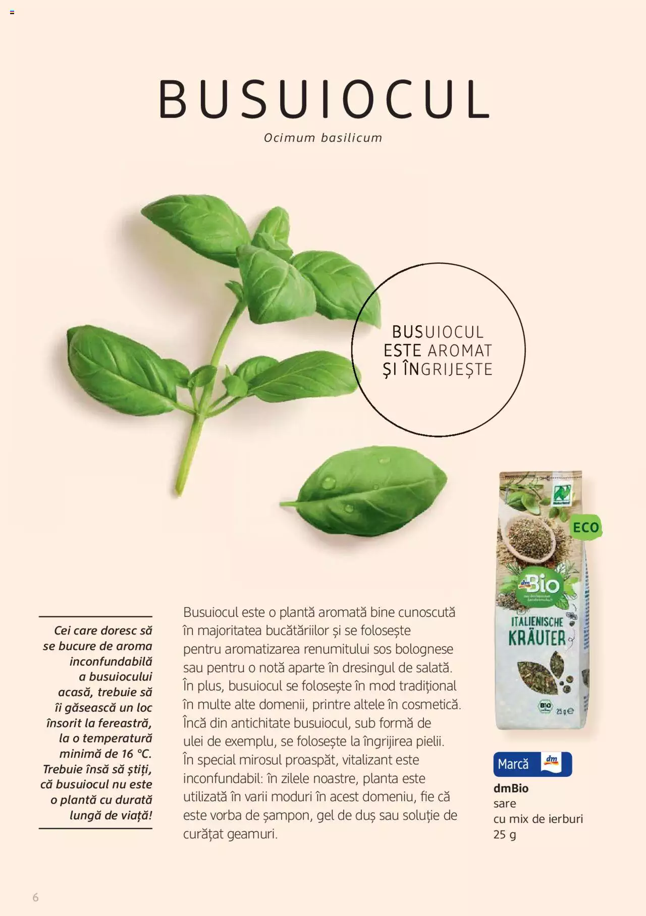 Catalog DM Drogerie Markt de Sâmbătă 1 2022 | Pagina 6