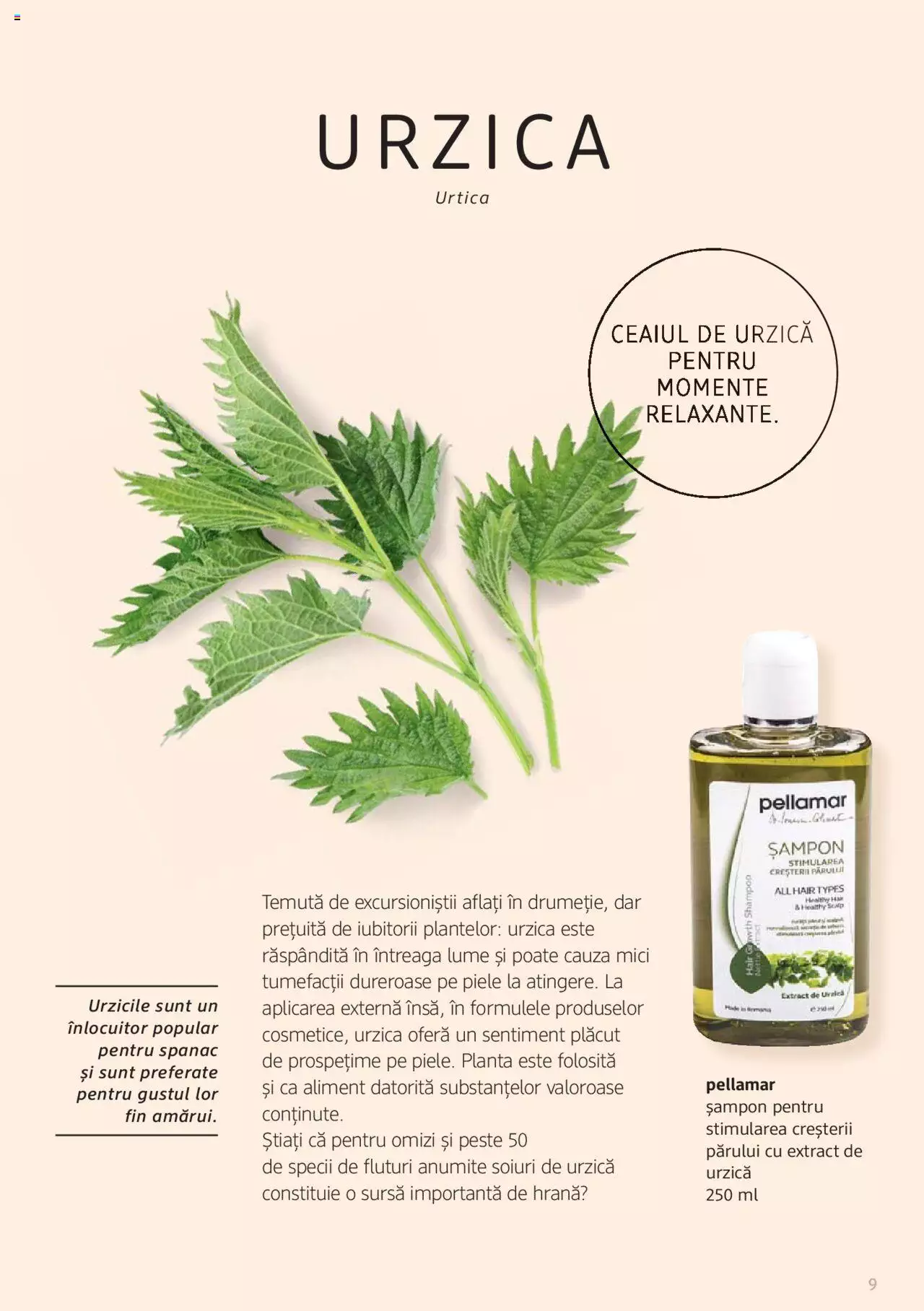 Catalog DM Drogerie Markt de Sâmbătă 1 2022 | Pagina 9