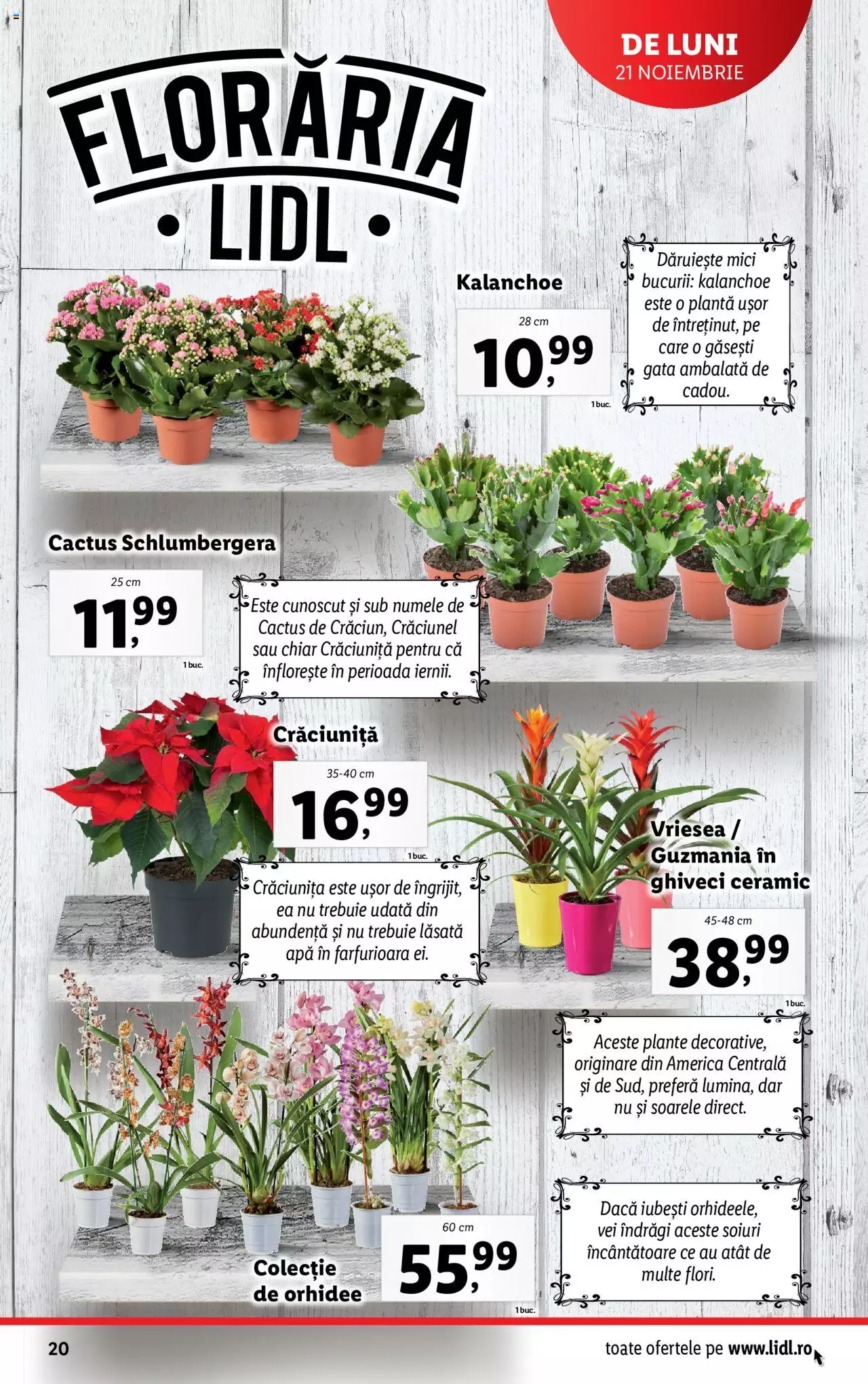 Catalog LIDL 21 - 27 Noiembrie 2022 | Pagina 20