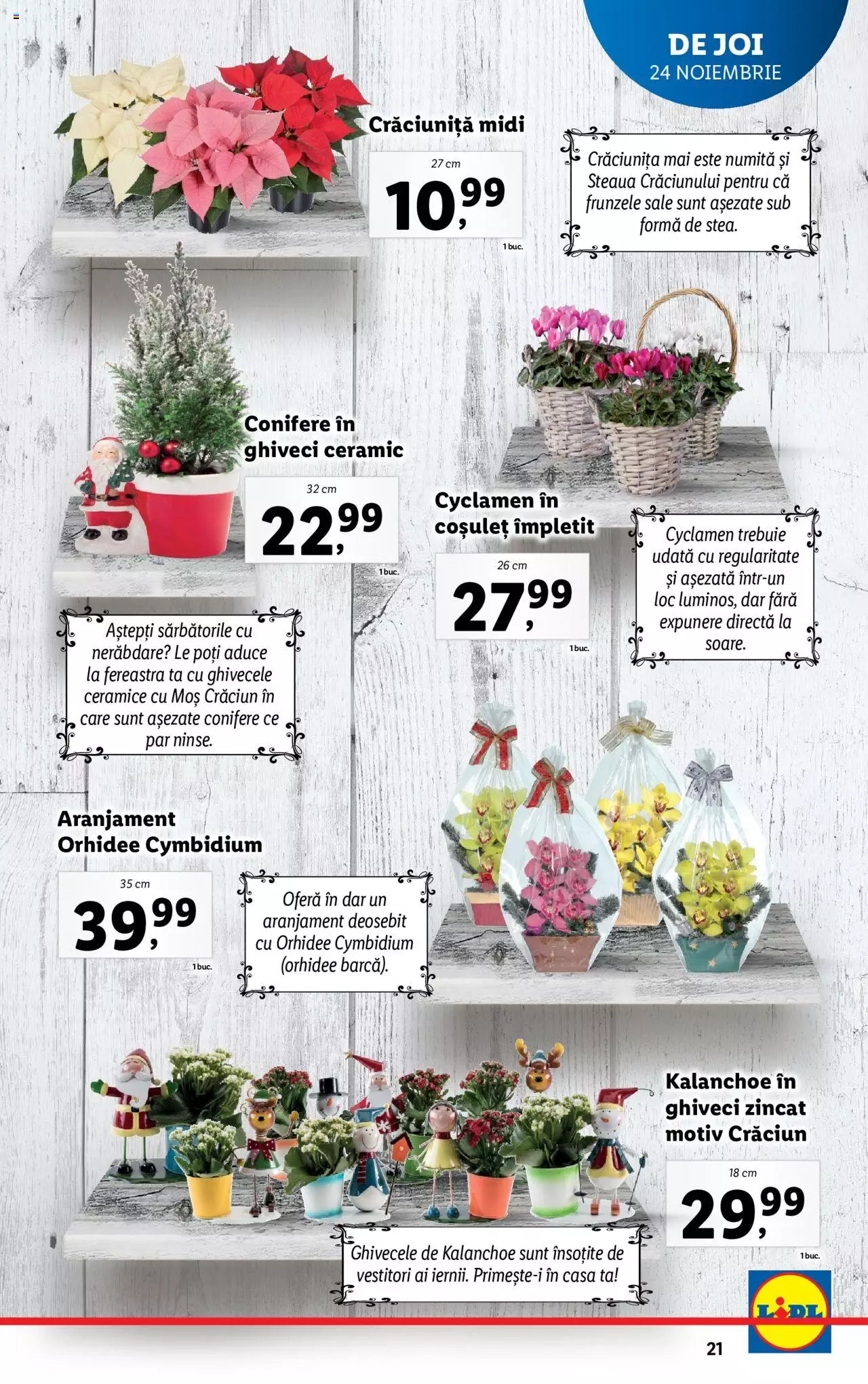 Catalog LIDL 21 - 27 Noiembrie 2022 | Pagina 21