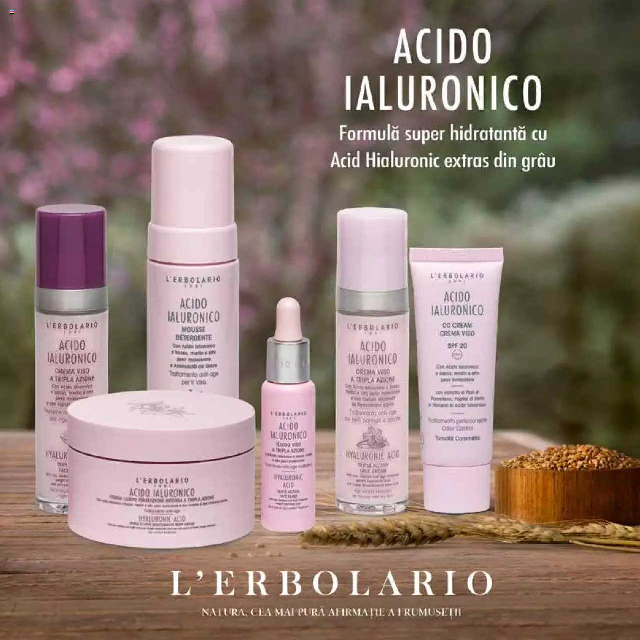 Catalog Sensiblu 1 Septembrie - 31 Octombrie 2022 | Pagina 13