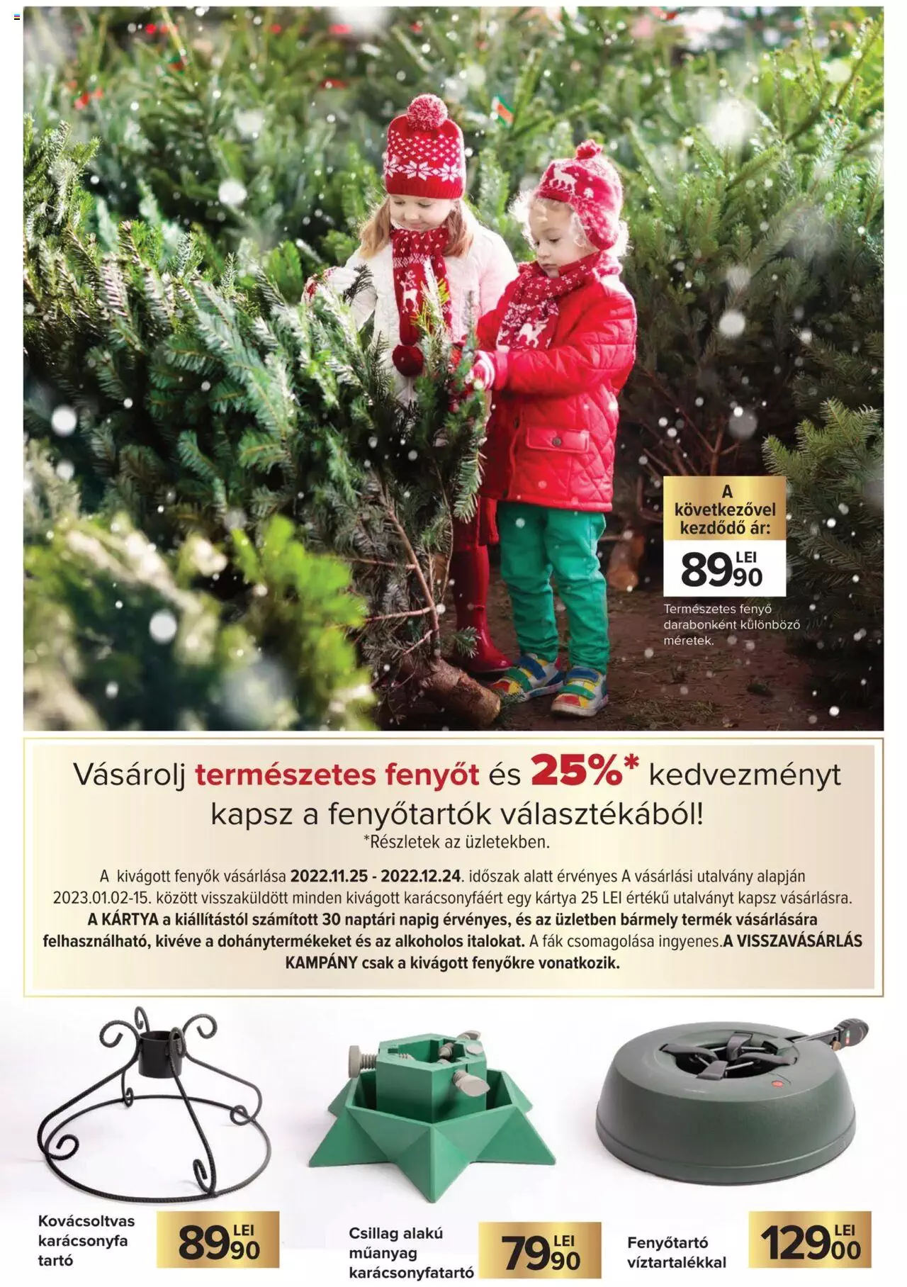 Catalog Carrefour 17 Noiembrie 2022 - 4 Ianuarie 2023 | Pagina 13