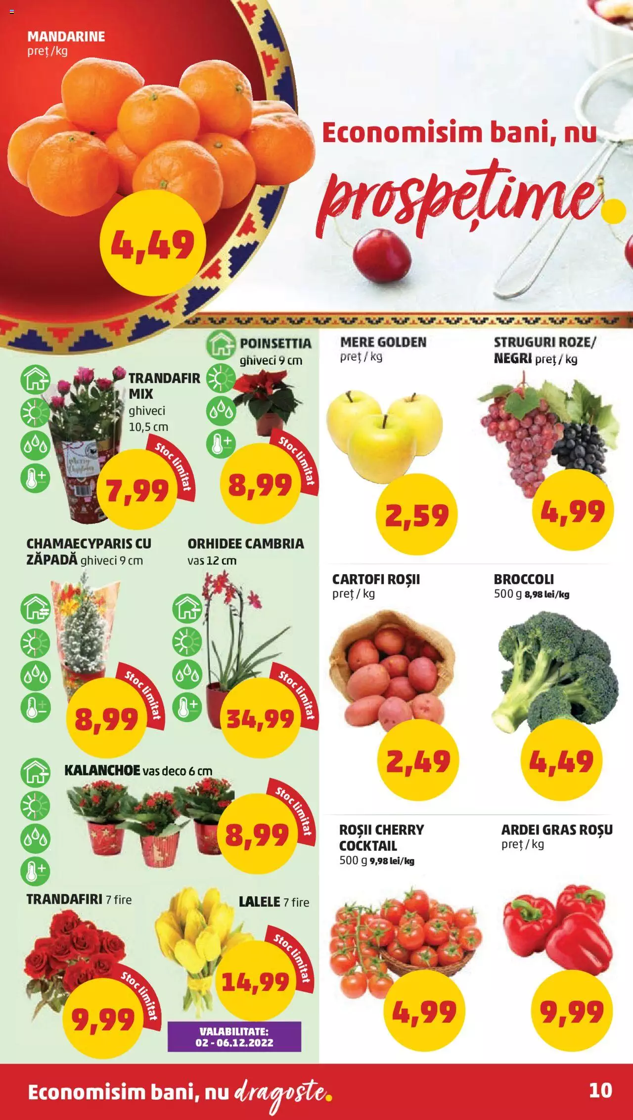 Catalog PENNY Market 1 - 6 Decembrie 2022 | Pagina 10