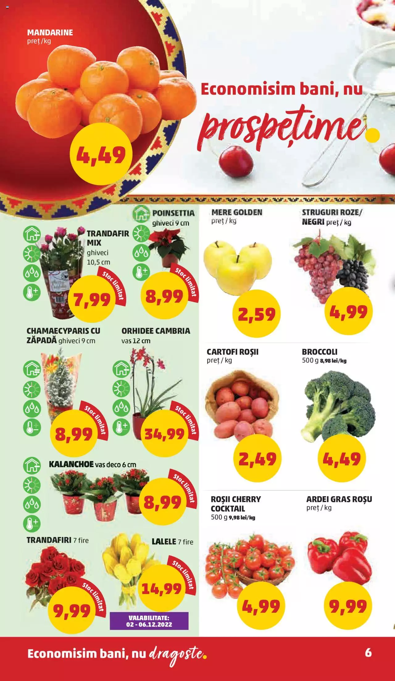 Catalog PENNY Market 30 Noiembrie - 6 Decembrie 2022 | Pagina 6