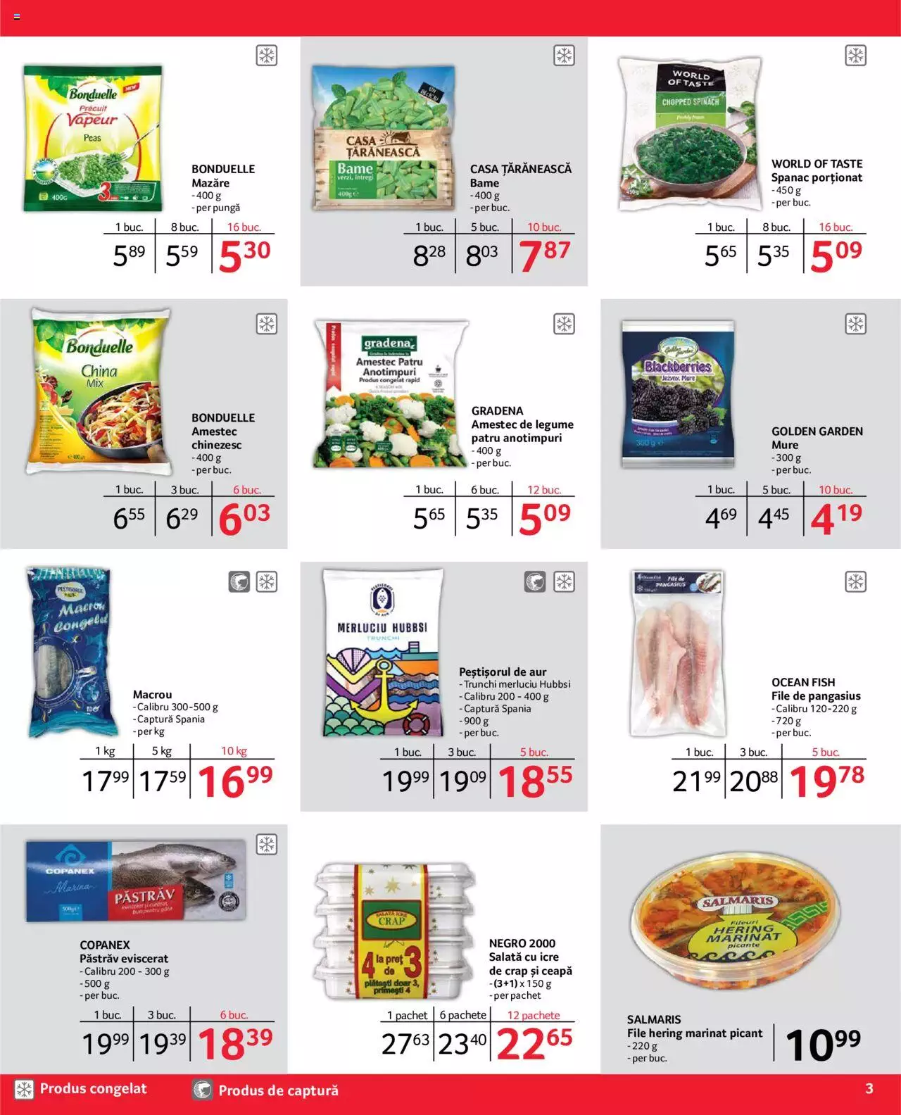 Catalog Selgros 1 - 31 Decembrie 2022 | Pagina 3