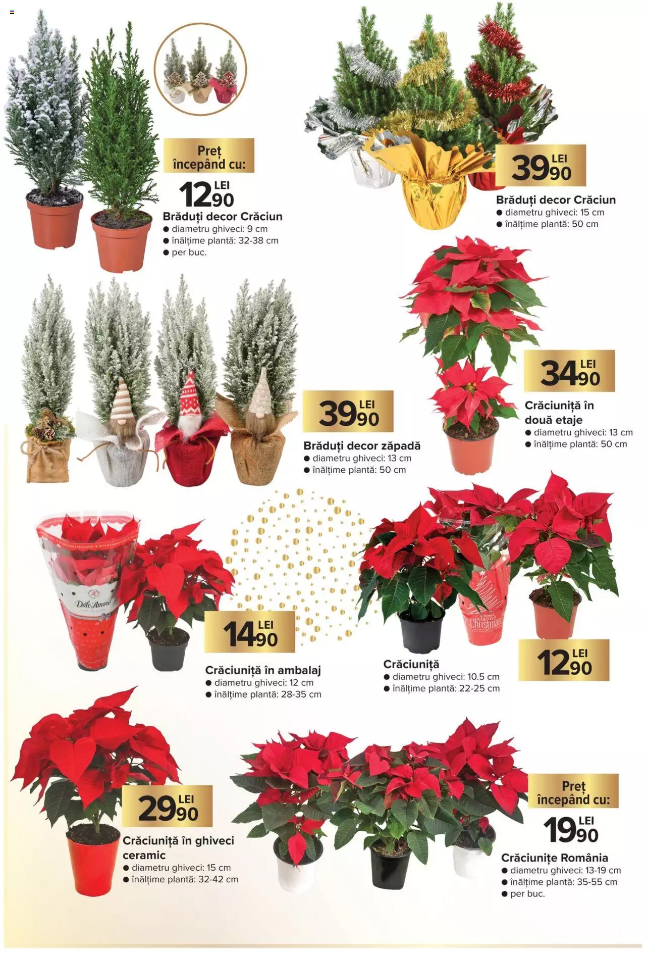 Catalog Carrefour 26 Decembrie 2022 - 8 Ianuarie 2023 | Pagina 30