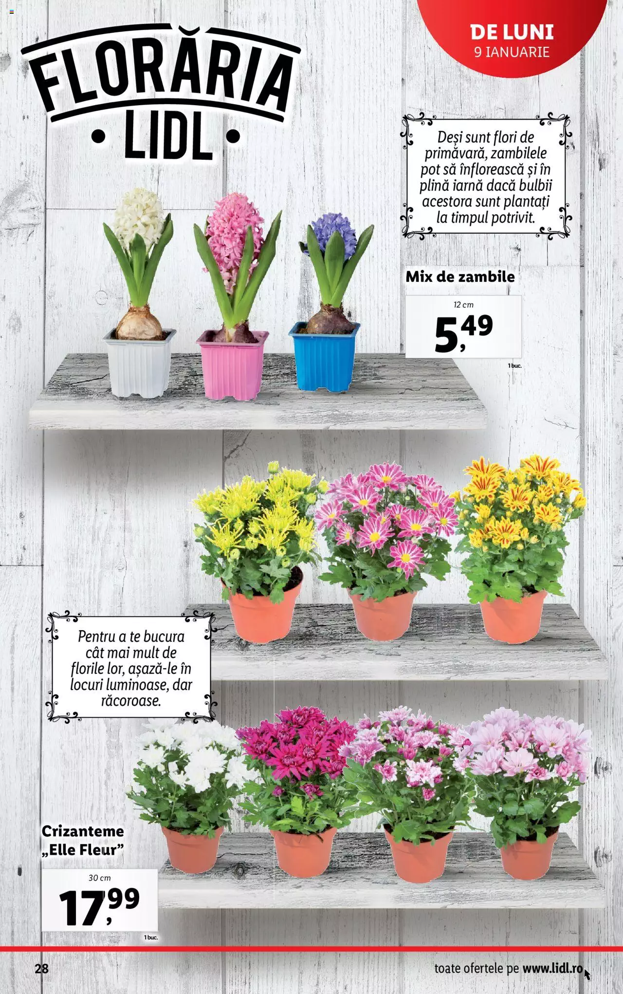 Catalog LIDL 9 - 15 Ianuarie 2023 | Pagina 28