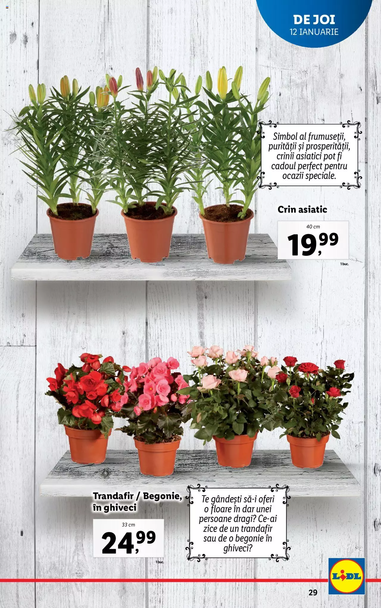 Catalog LIDL 9 - 15 Ianuarie 2023 | Pagina 29