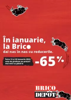 Catalog Brico Depot