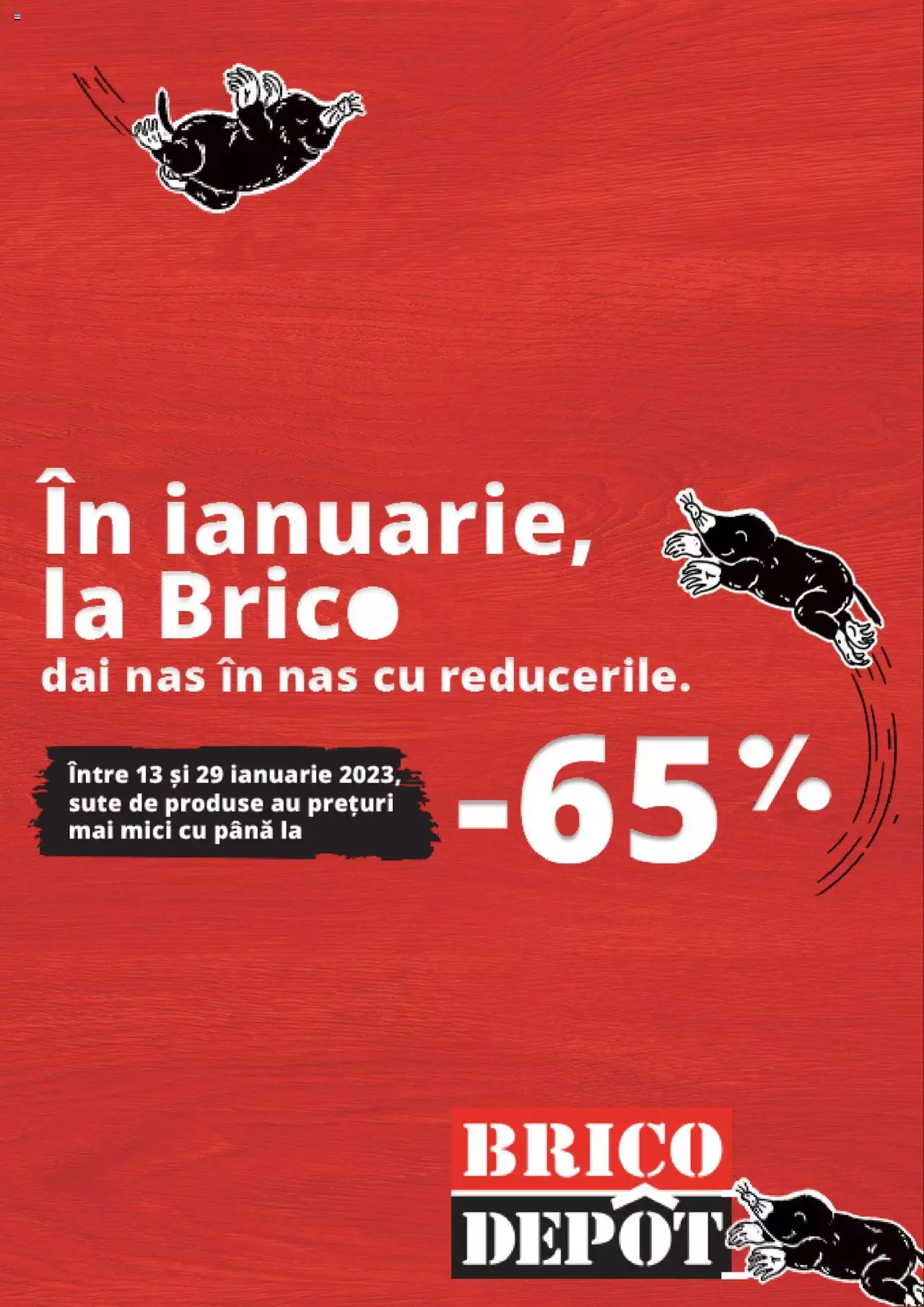 Catalog Brico Depot 13 - 29 Ianuarie 2023 | Pagina 1