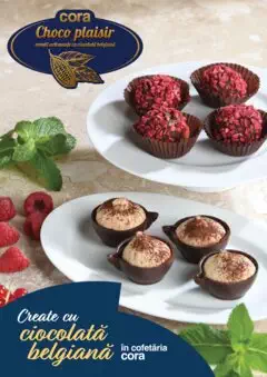 Catalog Cora