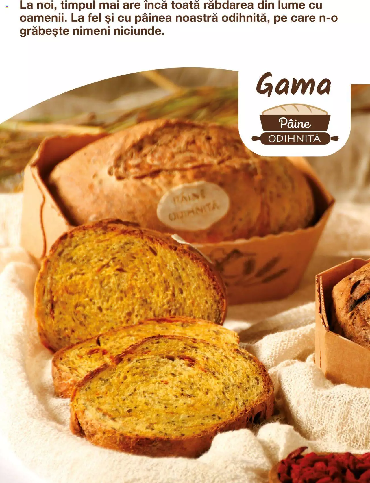 Catalog Cora 1 Ianuarie - 31 Decembrie 2023 | Pagina 28
