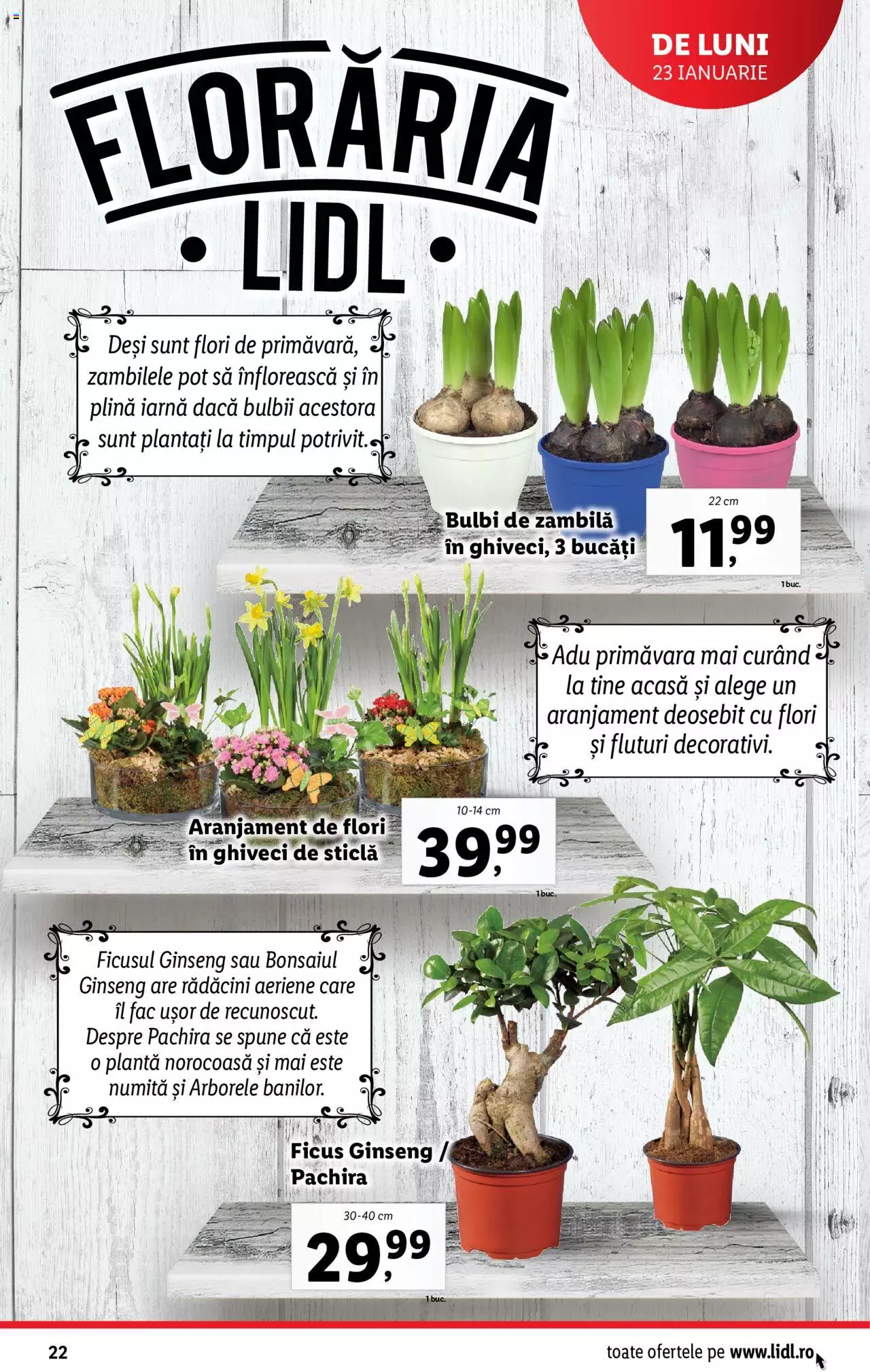 Catalog LIDL 23 - 29 Ianuarie 2023 | Pagina 22