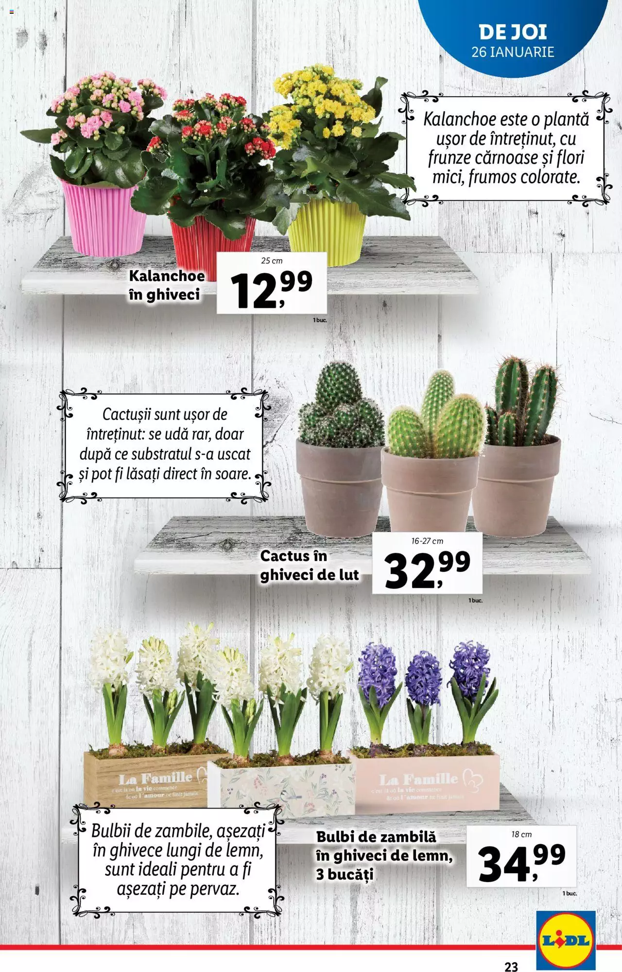 Catalog LIDL 23 - 29 Ianuarie 2023 | Pagina 23