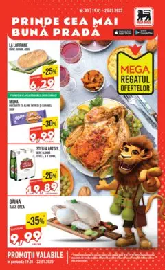 Catalog Mega Image